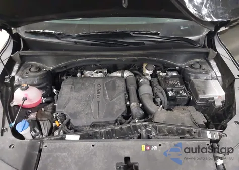 2024 Kia Sorento Ex из США, поврежденный, VIN 5XYRH4JF8RG276413